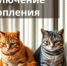 Отключение отопления 15 декабря - Администрация г. Бердск