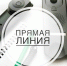 Прямая телефонная линия 18 декабря - Администрация г. Бердск