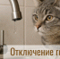 Отключение горячего водоснабжения 16 декабря - Администрация г. Бердск