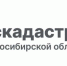Пять услуг Росреестра, которые можно получить через смартфон - Администрация г. Бердск