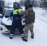  «Чёрных лесорубов» начали судить в Искитиме – ущерб более 12,6 млн рублей - Бердск-Онлайн.Ru
