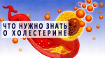 Что необходимо знать о холестерине