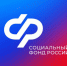Отделение СФР по Новосибирской области проактивно пересмотрит выплаты единого пособия многодетным семьям с превышением дохода в 10% - Администрация г. Бердск