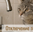 Отключение горячего водоснабжения 21 марта - Администрация г. Бердск