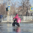 Пережили! Закончился поток аэродромной воды, топившей дороги Бердска - Бердск-Онлайн.Ru