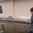 Прокурору написали жалобу жители 16 улиц, затопленных грунтовыми водами в Бердске - Бердск-Онлайн.Ru