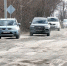 Депутаты Горсовета провели осмотр дороги на водозабор - Администрация г. Бердск